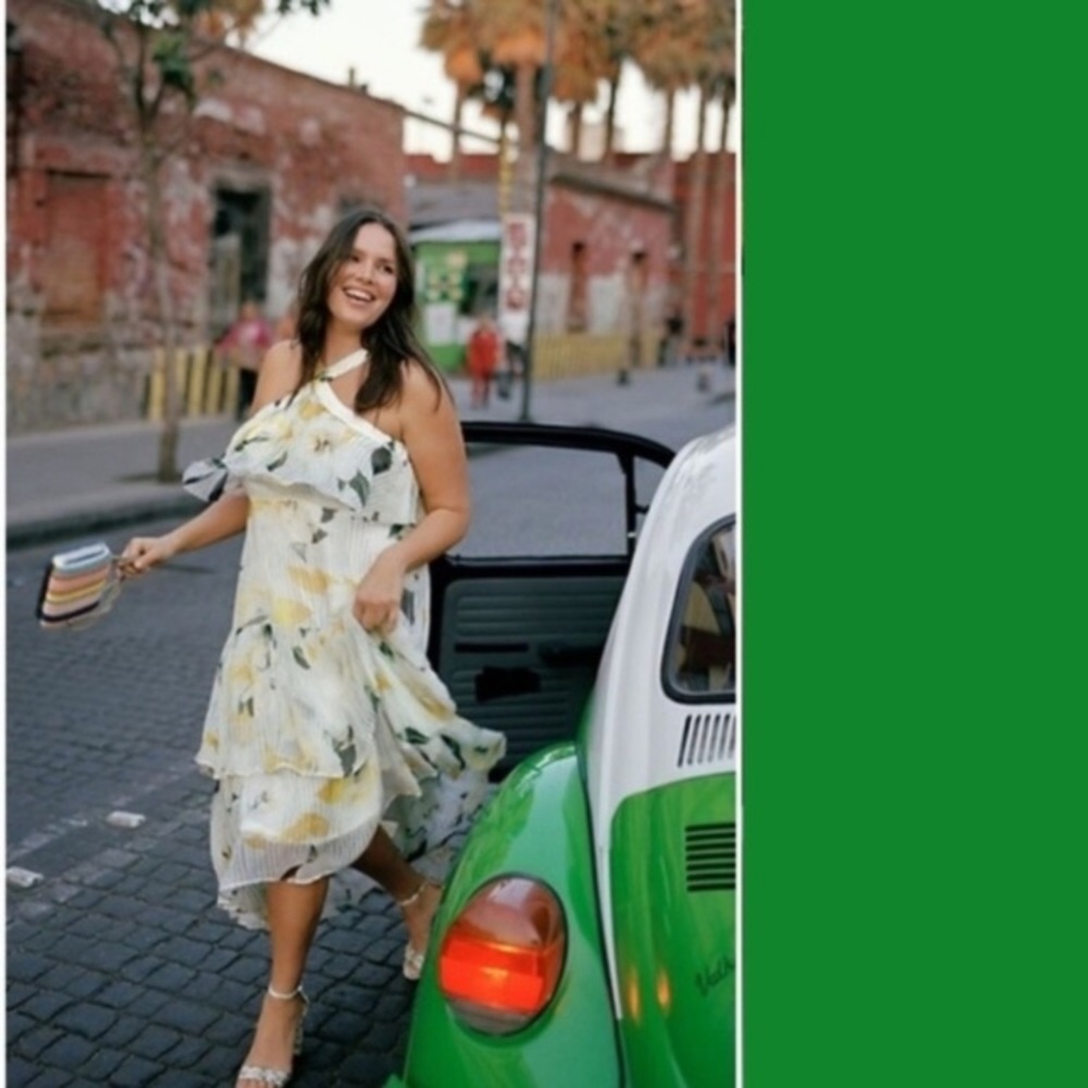 Anthropologie Flowy Maxi Dress, NEW. size 18W